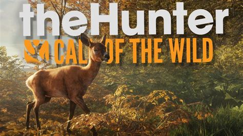 hunter call of the wild wiki|thehunter call of the wild wiki.